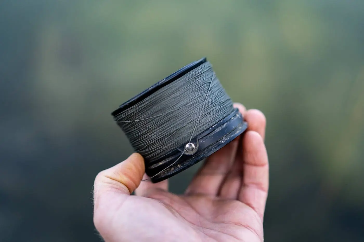 Voorpagina -Exporteren Vis Lijnen Winkel 4582