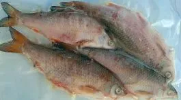 Diepvries Voorn Middel 3 Diepvries Voorn Middel