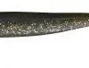 Seika Frequency Shad Shiny Tail 8 Cm
